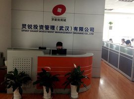 靈銳投資管理（武漢） 專業(yè)投顧賦能企業(yè)成長