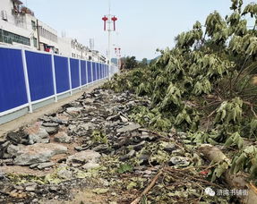 滸灣“一水兩岸”景觀工程正式啟動勘察，打造濱水生態(tài)新地標